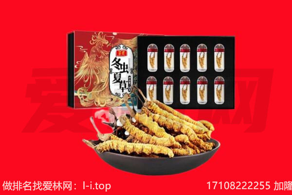 衡水阜城县回收虫草.jpg
